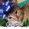 luckyokcgurl77